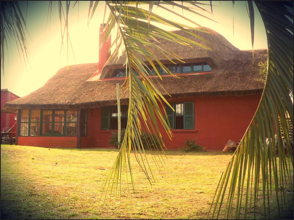 Hostel El Nagual Punta Del Diablo Exterior photo